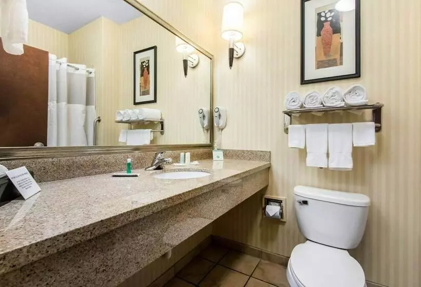 スイート, Comfort Suites Cullman I65 Exit 310