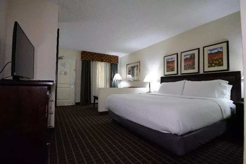 キングサイズベッドのエクゼクティブルーム, Holiday Inn Hazlet, An Ihg