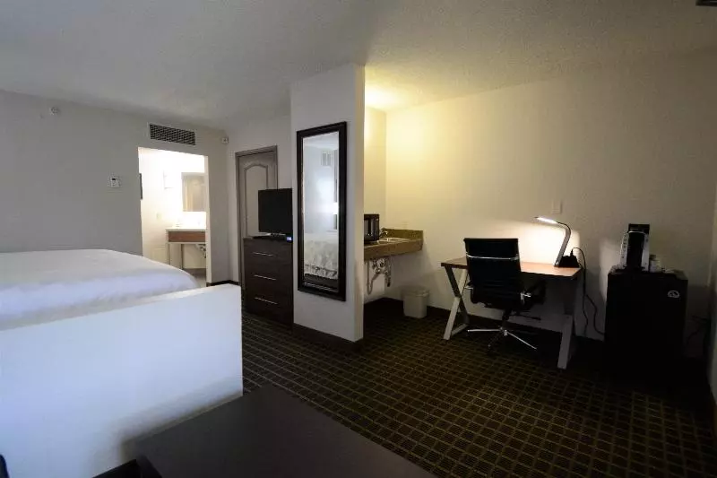 キングサイズベッドのエクゼクティブルーム, Holiday Inn Hazlet, An Ihg