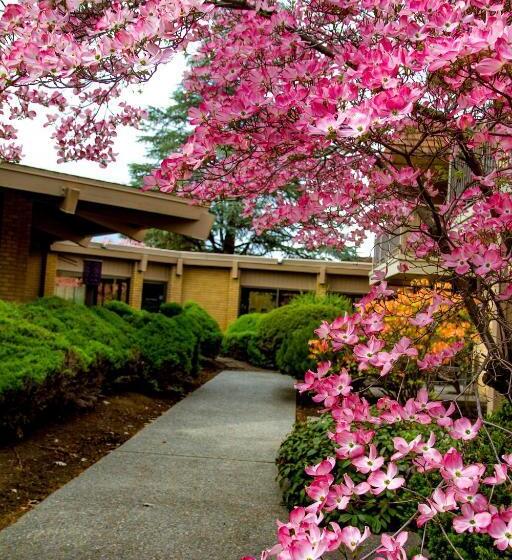 غرفة تنفيذية, Mirabeau Park