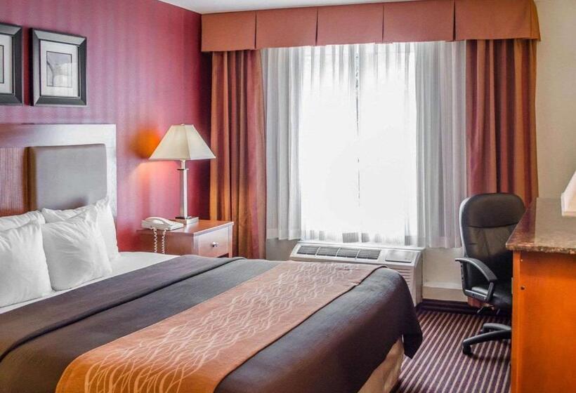 Стандартный Номер Кровать Кинг, Quality Inn Harrisburg Downtown Riverfront
