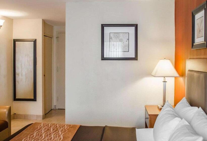 스탠다드 룸 킹사이즈 침대, Quality Inn Harrisburg Downtown Riverfront