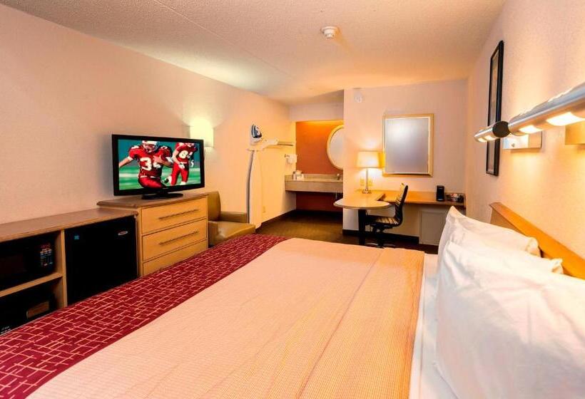 디럭스 룸 킹사이즈 침대, Red Roof Inn Buffalo   Hamburg/ I 90