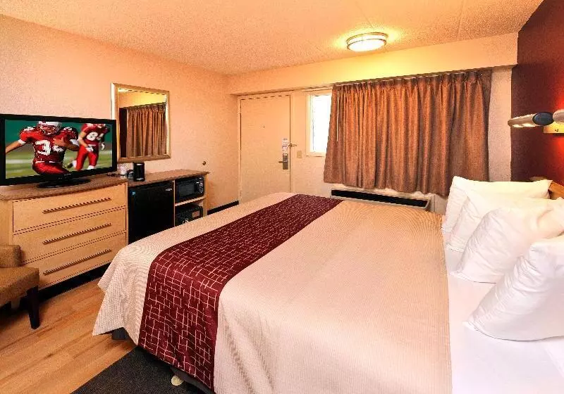 اتاق سوپریور با تخت بزرگ, Red Roof Inn Utica