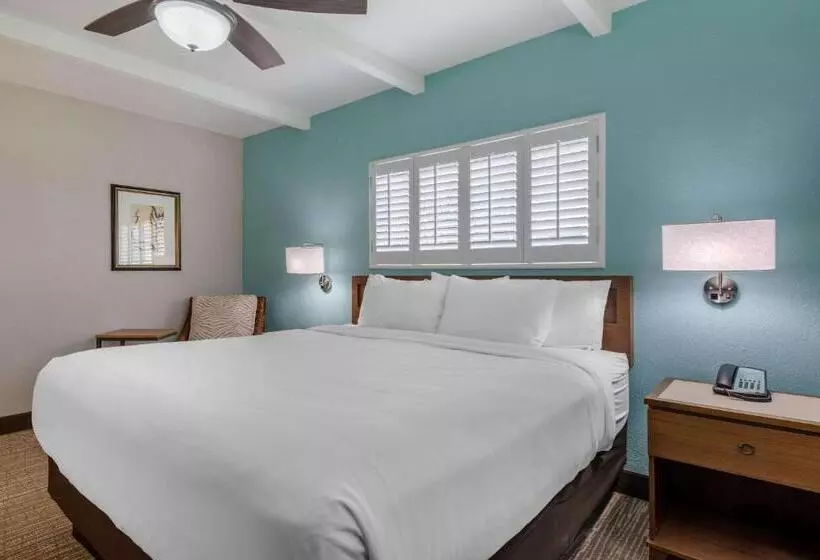 キングサイズベッドのスタンダードルーム, Seafarer Inn & Suites, Ascend Hotel Collection