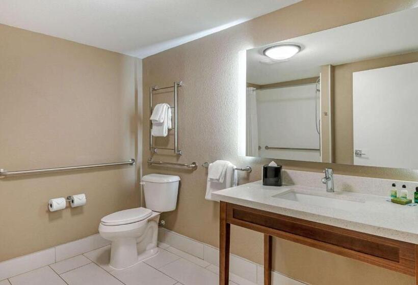 Номер Стандарт Кровать Кинг Адаптированный для Инвалидов, Seafarer Inn & Suites, Ascend Hotel Collection