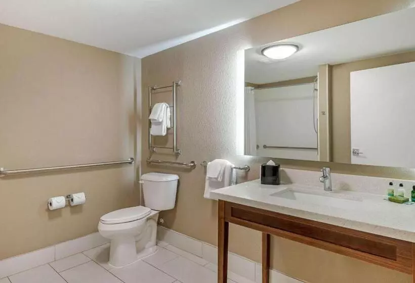 身障者適用キングサイズベッドルーム, Seafarer Inn & Suites, Ascend Hotel Collection