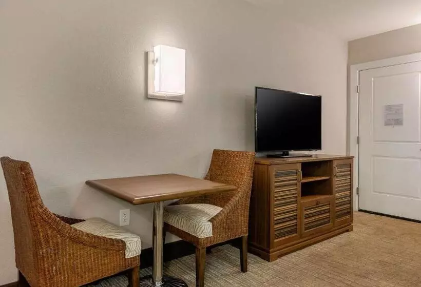 身障者適用キングサイズベッドルーム, Seafarer Inn & Suites, Ascend Hotel Collection