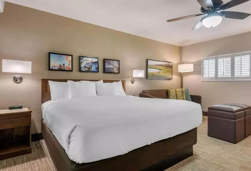 身障者適用キングサイズベッドルーム, Seafarer Inn & Suites, Ascend Hotel Collection