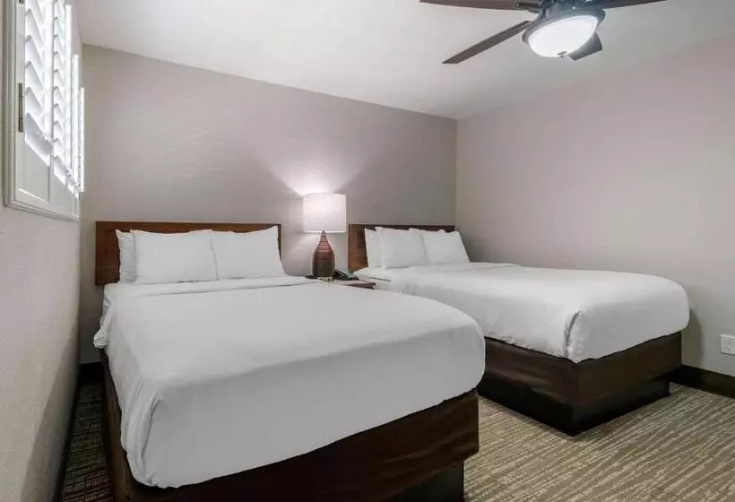 身障者適用スイートルーム, Seafarer Inn & Suites, Ascend Hotel Collection