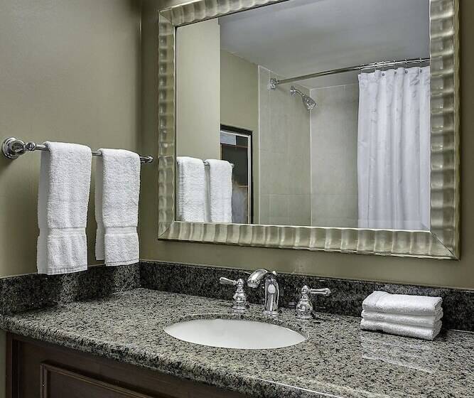 غرفه قياسيه سريرين مزدوجين, Sheraton Oklahoma City Downtown