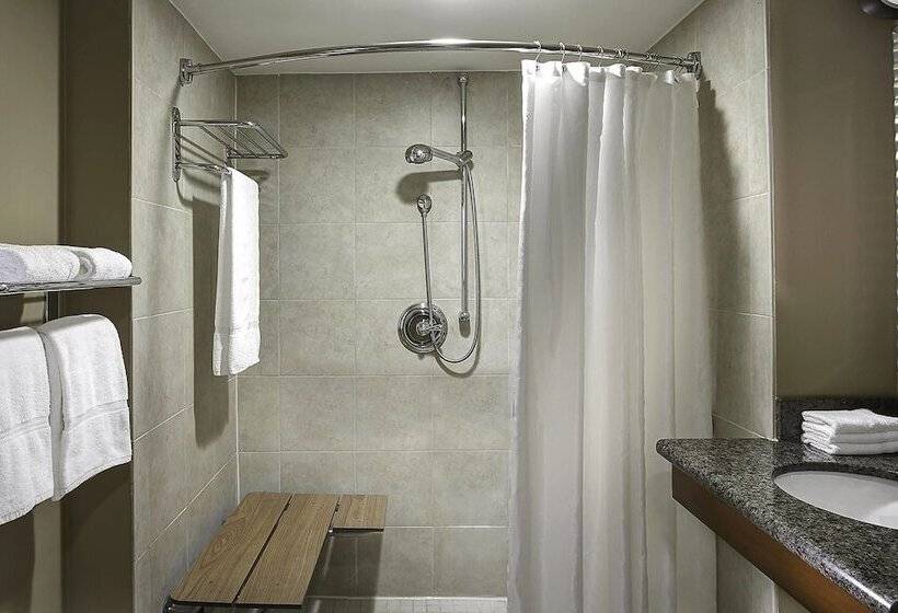 غرفه قياسيه سريرين مزدوجين, Sheraton Oklahoma City Downtown