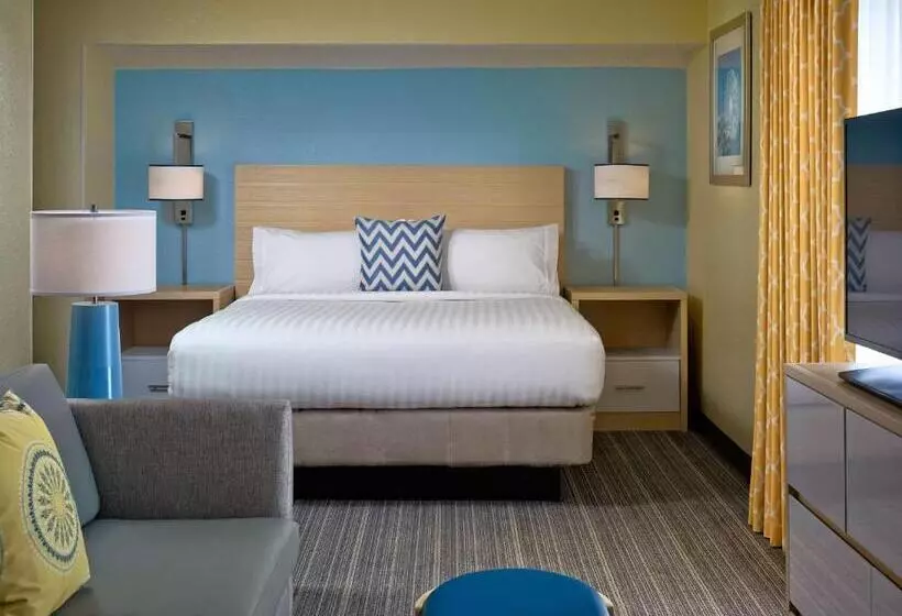 استودیو استاندارد با تخت کینگ, Sonesta Es Suites Burlington Vt