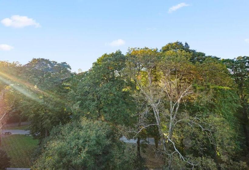 اتاق استاندارد با چشمانداز دریاچه, Riverside Tower Hotel