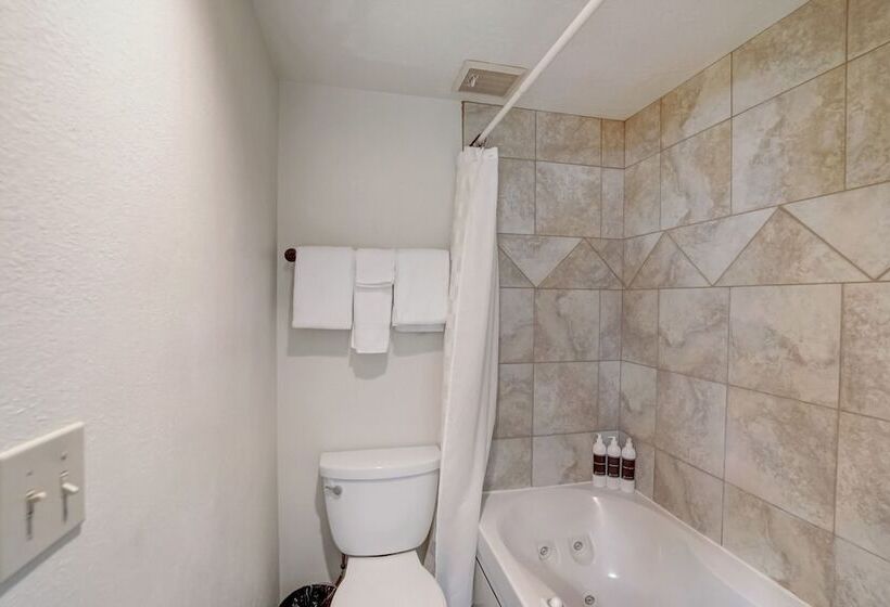 带1个卧室的公寓, Shadow Ridge By All Seasons Resort Lodging