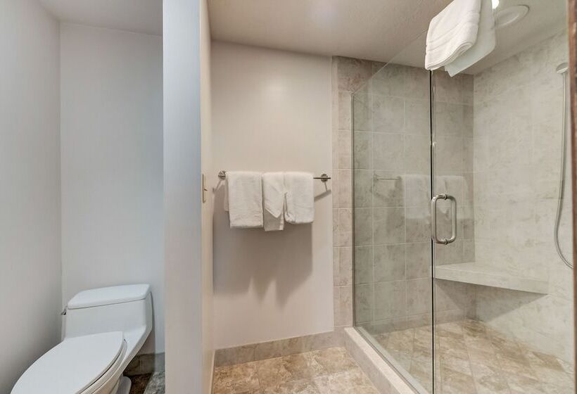 带2个卧室的公寓, Shadow Ridge By All Seasons Resort Lodging