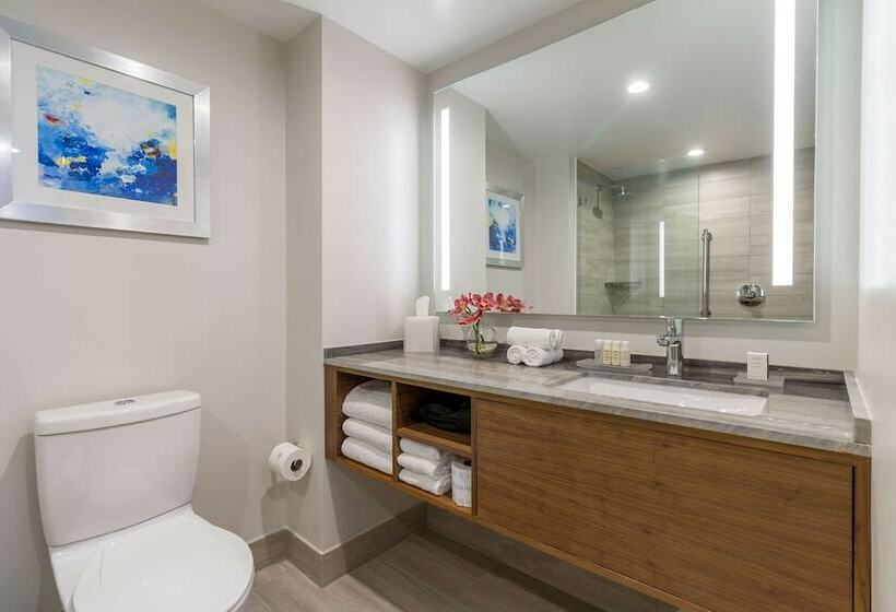 带2个双人床的标准工作室, B Ocean Resort Fort Lauderdale Beach