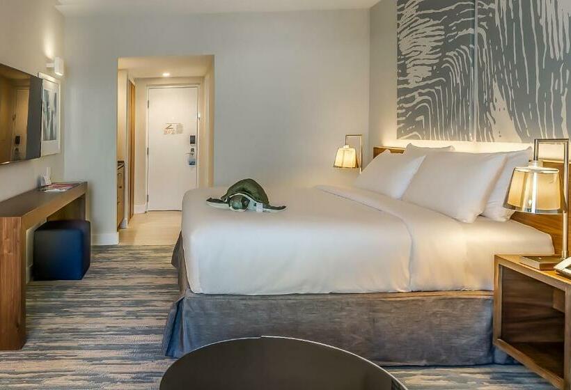 适合残疾人士使用的带超级大床的标准间, B Ocean Resort Fort Lauderdale Beach