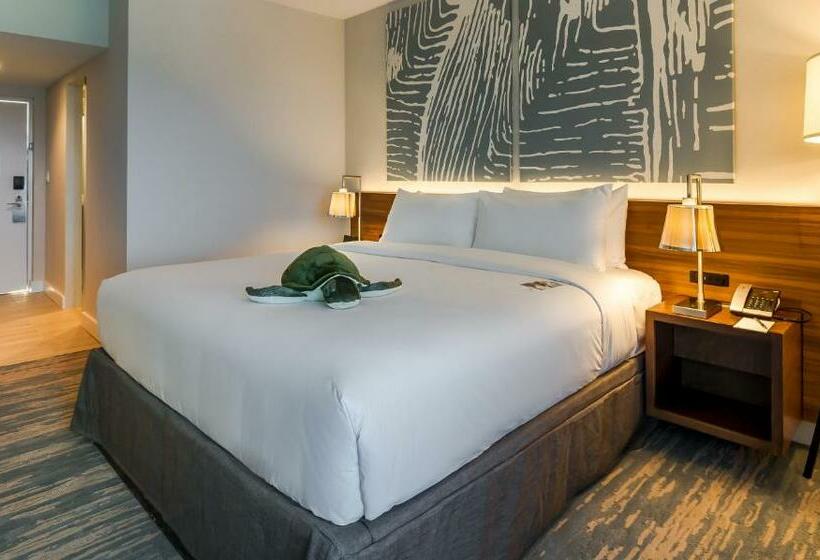 带大床的标准间, B Ocean Resort Fort Lauderdale Beach