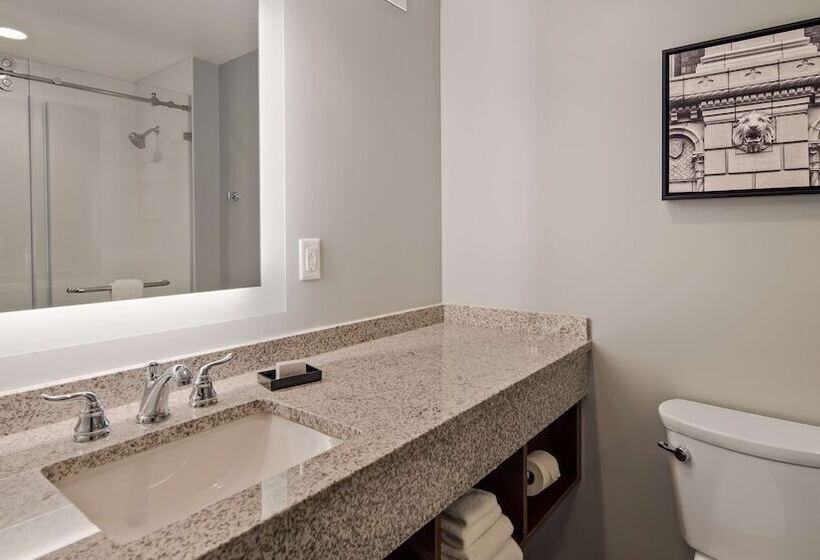 Люкс, Best Western Plus Franklin Square Inn