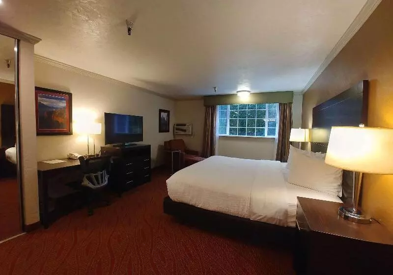 スタンダードルーム, Best Western Plus Parkway Inn