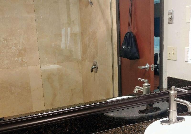 Standart Oda, Best Western Plus Parkway Inn