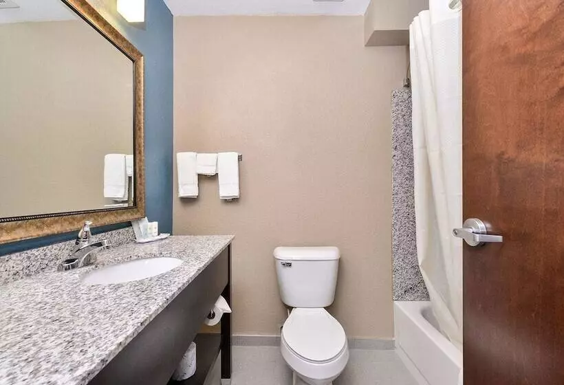 スイート, Comfort Inn & Suites Springfield I55