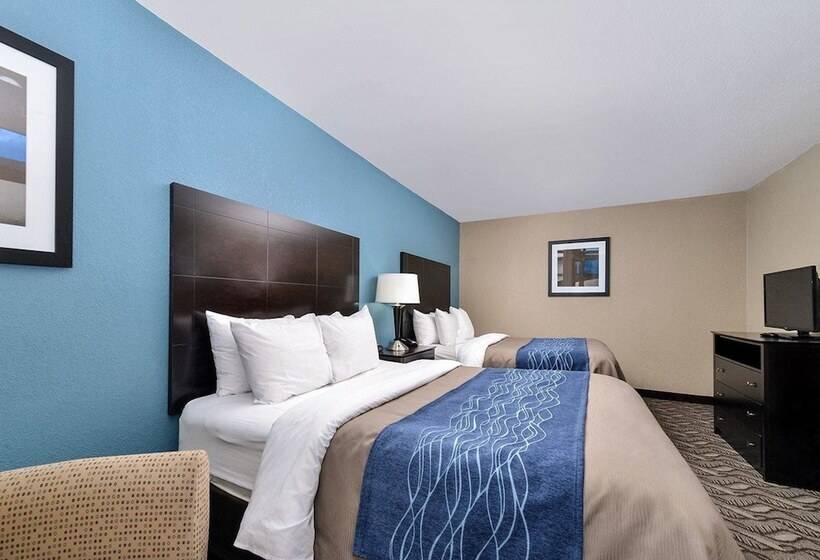 スイート, Comfort Inn & Suites Springfield I55