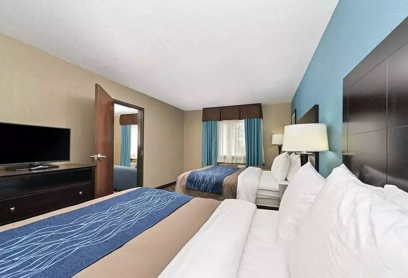 スイート, Comfort Inn & Suites Springfield I55