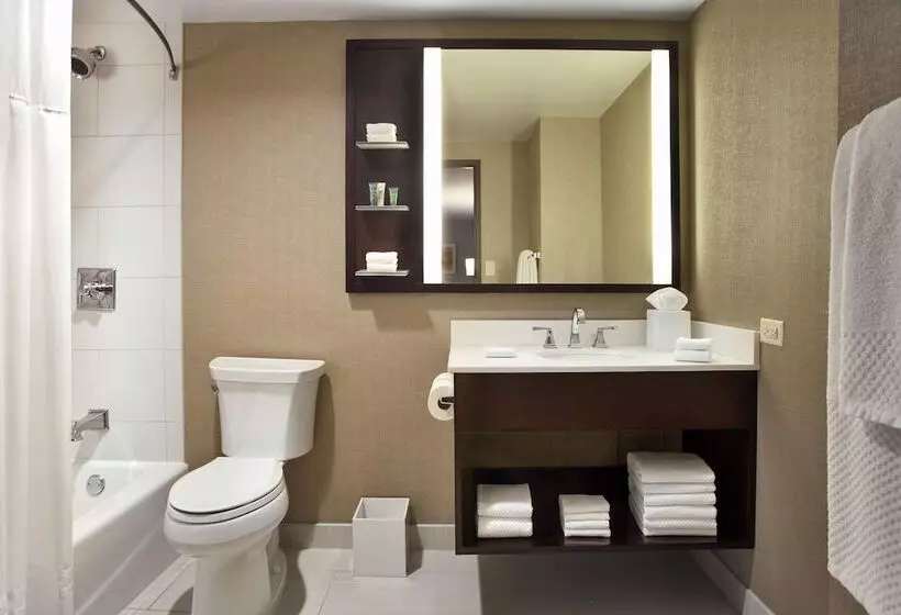 اتاق استاندارد با 2 تخت دوبل, Hilton Chicago