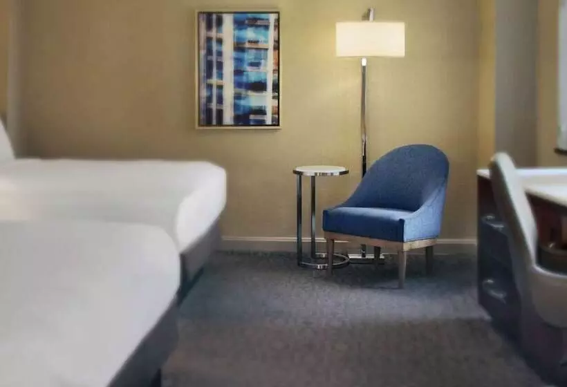 اتاق استاندارد با 2 تخت دوبل, Hilton Chicago