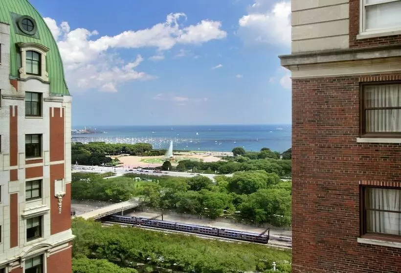 سوییت جونیور, Hilton Chicago