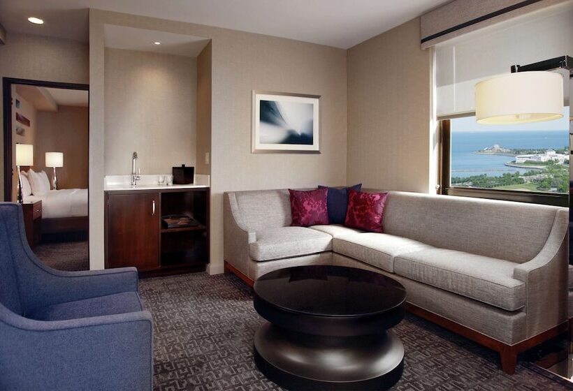 סוויטת ג'וניור, Hilton Chicago