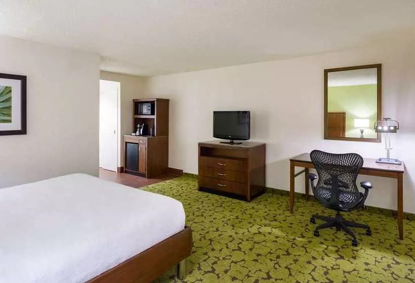 اتاق استاندارد, Hilton Chicago