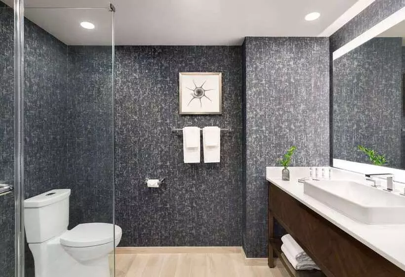اتاق استاندارد با تخت بزرگ, Hilton Chicago