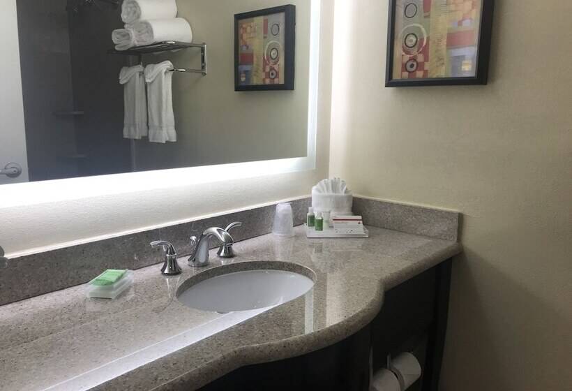 スタンダードルーム, Holiday Inn Orlando East Ucf Area, An Ihg