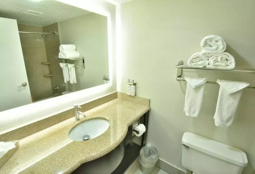 اتاق استاندارد, Holiday Inn Orlando East Ucf Area, An Ihg