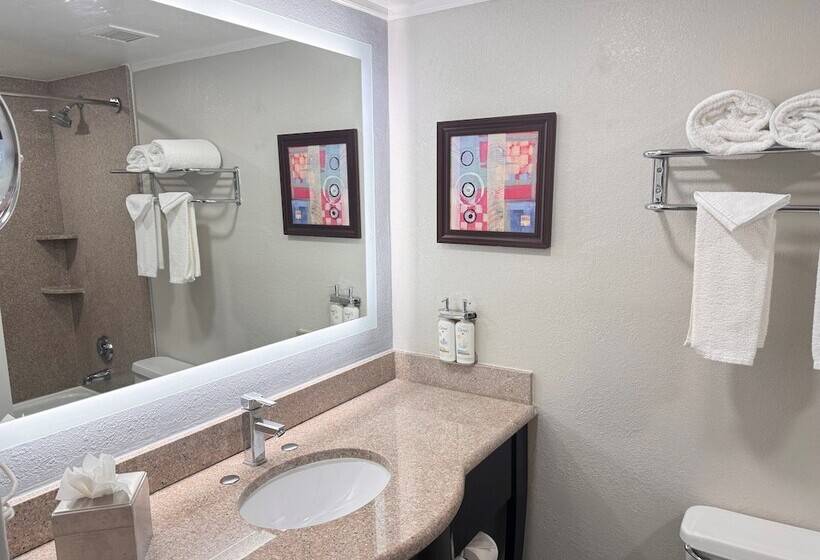 スタンダードルーム, Holiday Inn Orlando East Ucf Area, An Ihg