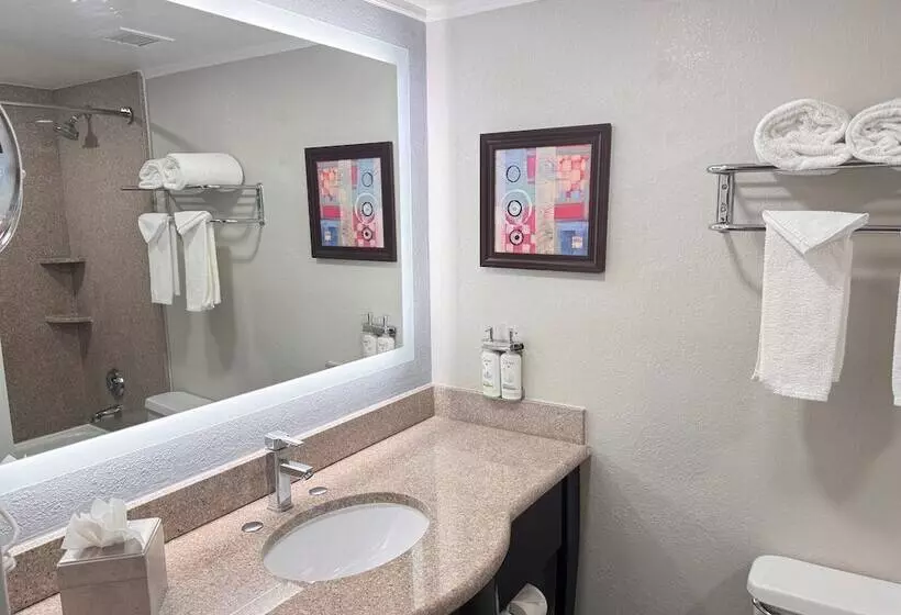 اتاق استاندارد, Holiday Inn Orlando East Ucf Area, An Ihg