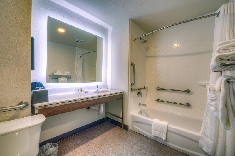 스탠다드 룸 킹사이즈 침대, Holiday Inn Tacoma Mall, An Ihg