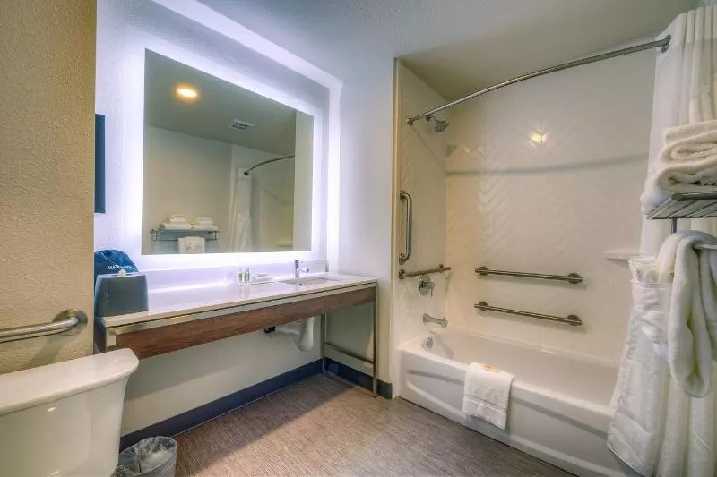 Standard-huone King-vuode, Holiday Inn Tacoma Mall, An Ihg