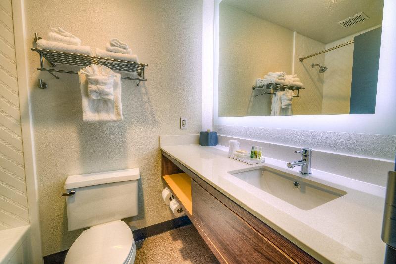 스탠다드 룸 킹사이즈 침대, Holiday Inn Tacoma Mall, An Ihg