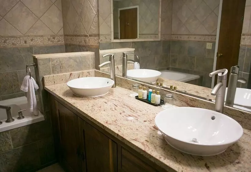اتاق پرمیوم, The Omni Grove Park Inn & Spa Asheville