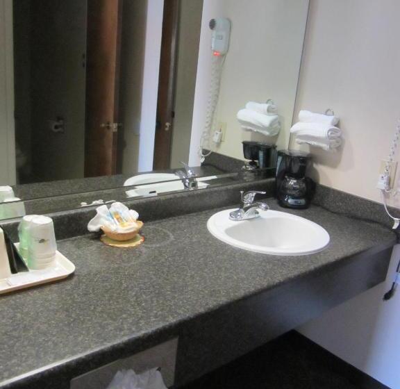 غرفة قياسية سرير كينج, Quality Inn San Angelo