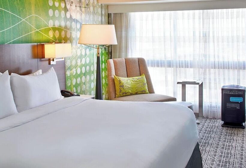 带2个双人床的标准工作室, Renaissance Nashville