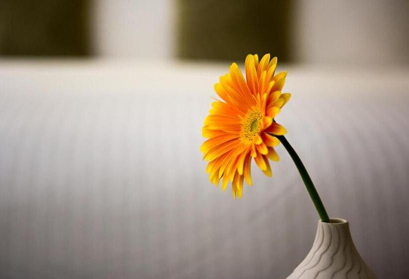 小型套房, Shoreham