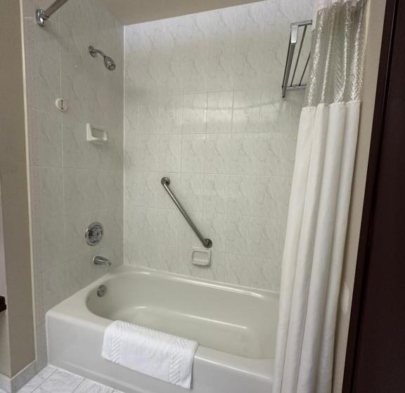 חדר סטנדרט עם מיטת קינג, Sojourn Suites Portland Airport