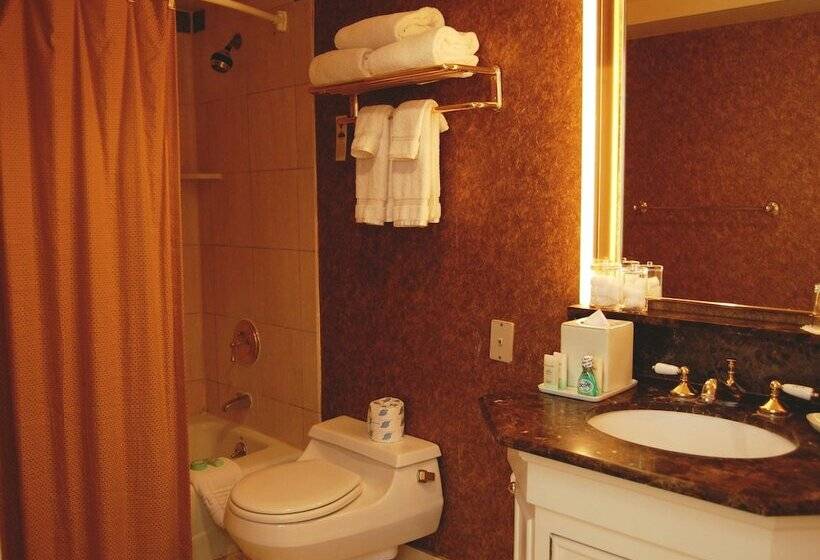 اتاق لوکس, Fairmount Hotel, In The Unbound Collection By Hyatt