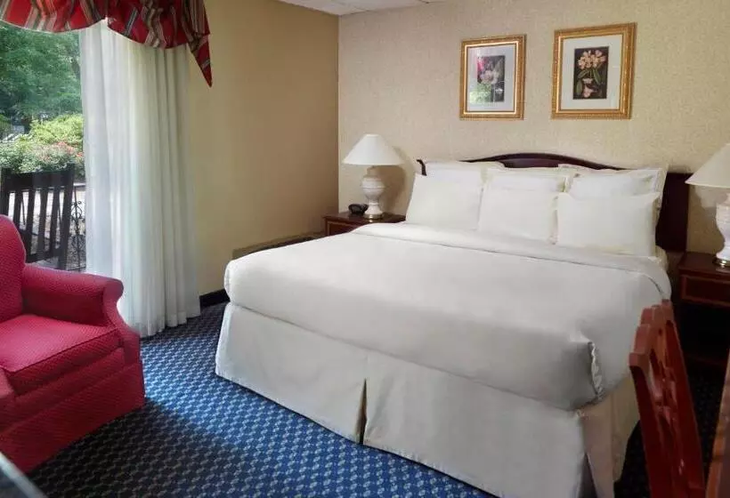Standard-studio King-vuode, The Inn at Stone Mountain Park