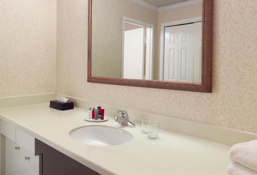 适合残疾人士使用的带超级大床的标准间, The Inn at Stone Mountain Park